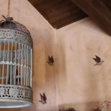 Rock And Stone 卡兰巴卡